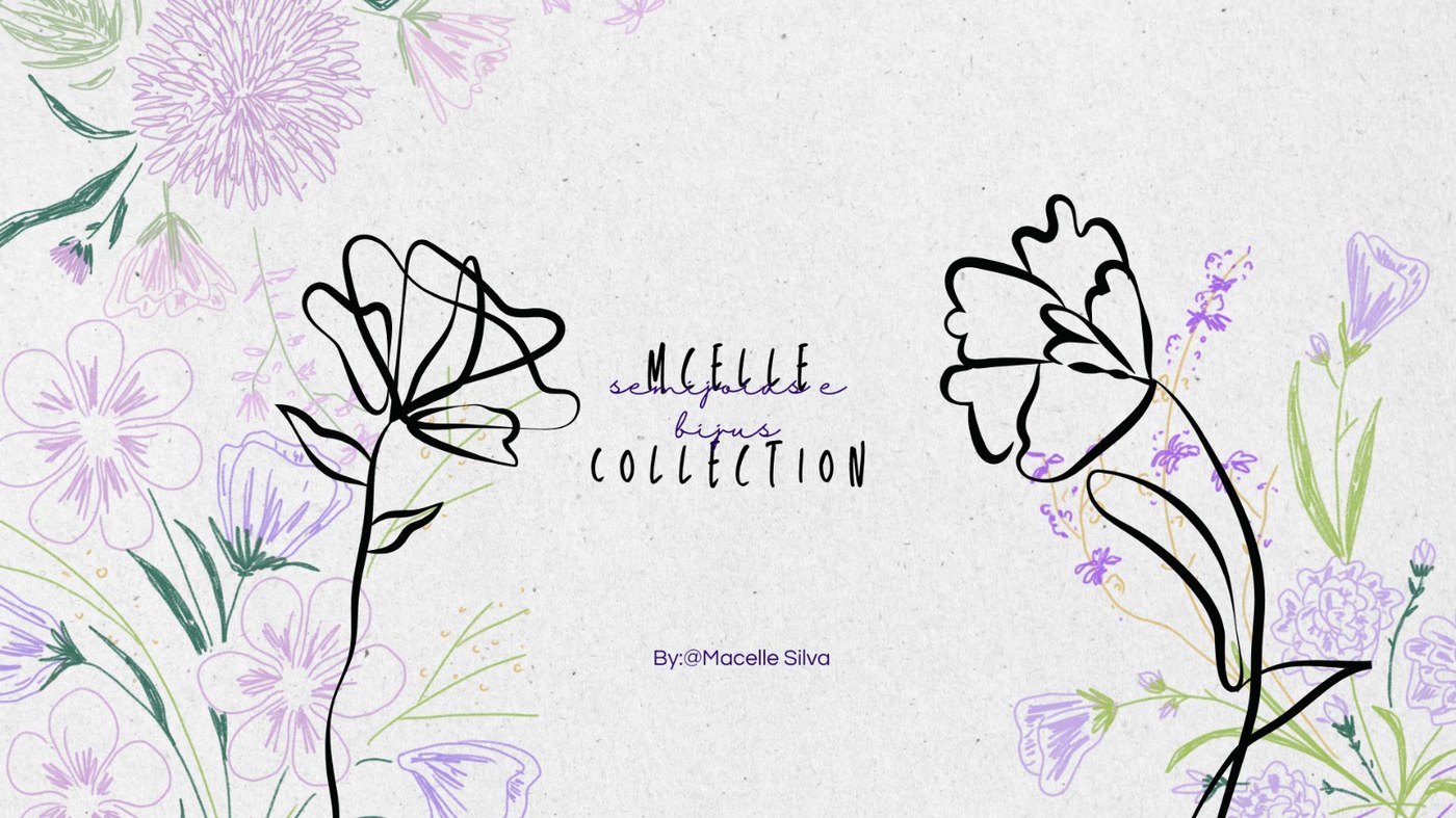 Mcelle Collection — arte de marca com lírios desenhados à mão